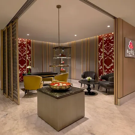 Sheraton New Delhi Hotel-3